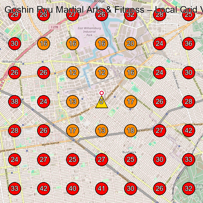 Goshin Ryu Martial Arts & Fitness GeoGrid visibility map for Martial Arts School in Brooklyn